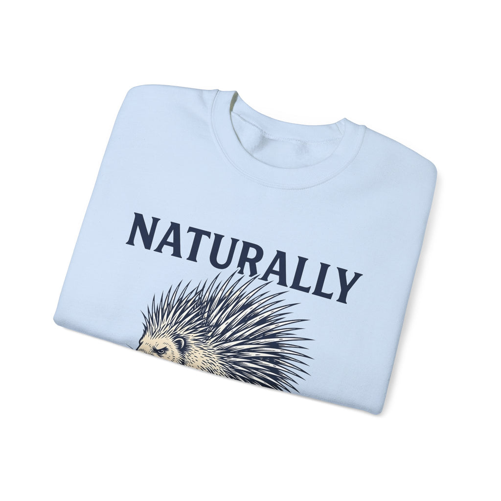 Porcupine Sweatshirt Animal Pun Humor Gift Women Hand Drawn Sweatshirt Hedgehog Sweatshirt Pun Fan Hand Drawn Sweatshirt Funny Graphic Vintage Quills Sweatshirt