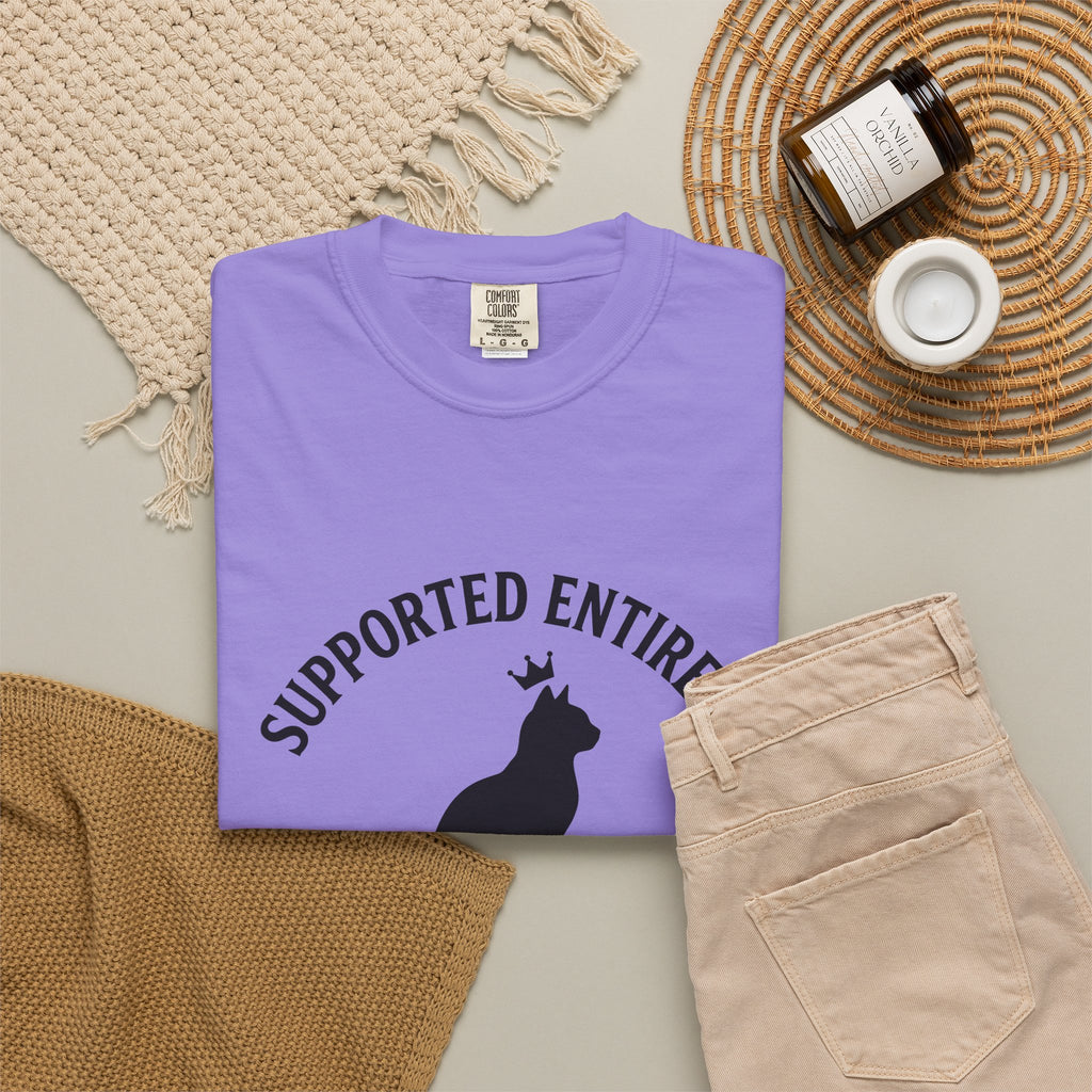 Cat Outline T-Shirt Cat Animal Gift Women Simple T-Shirt Kitten T-Shirt Cat Fan Feline T-Shirt Creature Graphic Retro Tiara T-Shirt
