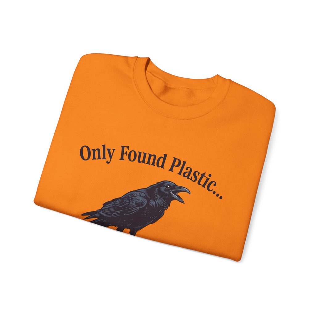 Crow Eggs Sweatshirt Easter Animal Gift Women Vintage Sweatshirt Raven Eggs Sweatshirt Easter Fan Retro Sweatshirt Creature Graphic Hand Drawn Egg Shells