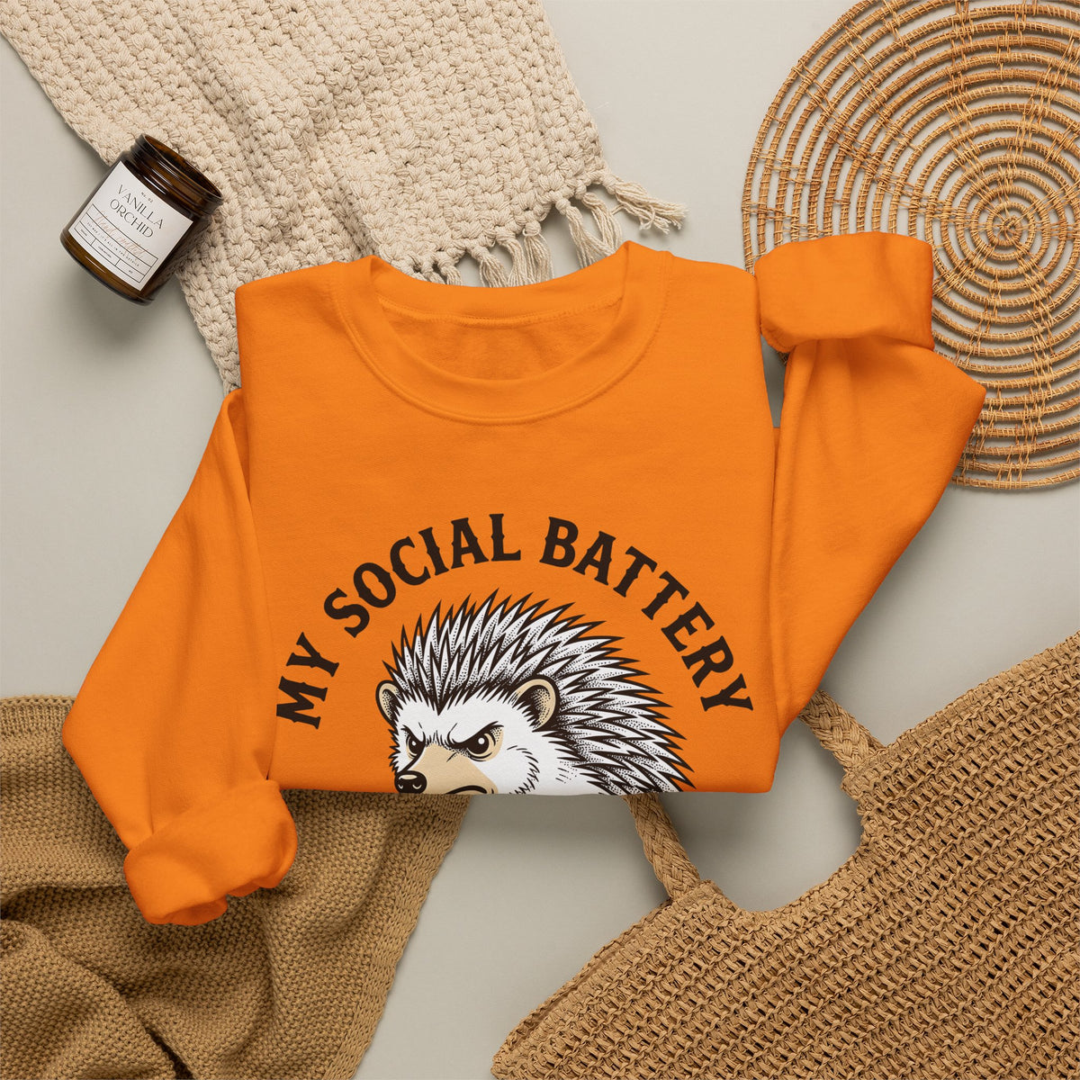 Mad Porcupine Sweatshirt Funny Wildlife Gift Women Comic Sweatshirt Porcupine Sweatshirt Humor Fan Cartoon Sweatshirt Animal Graphic Retro Patterned Necktie