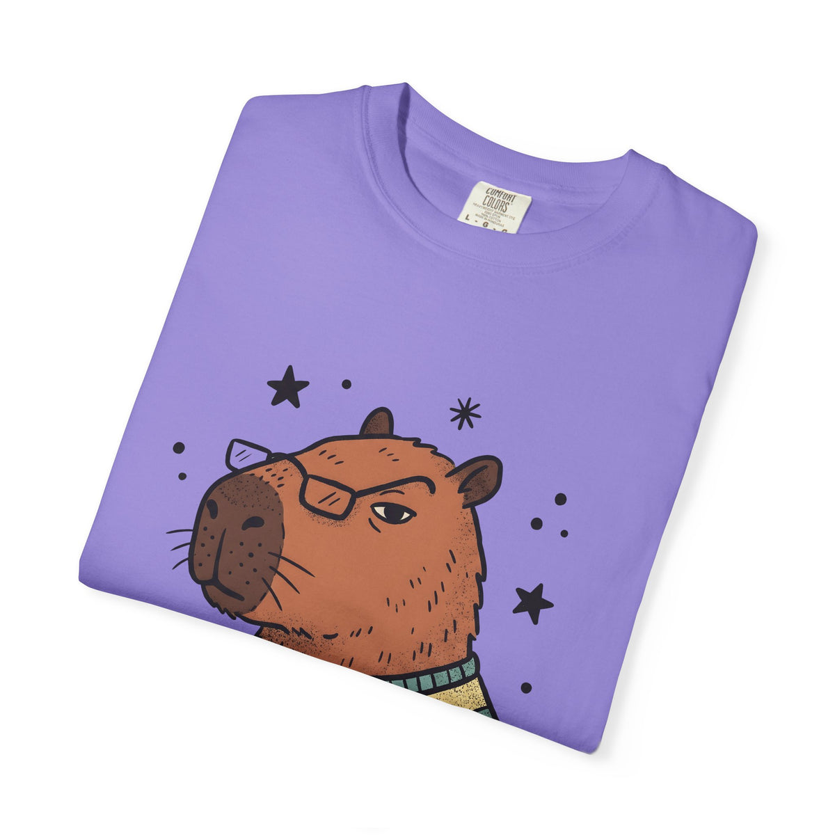 Capybara Specs T-Shirt Funny Fauna Gift Women Caricature T-Shirt Rodent T-Shirt Humor Fan Cartoon T-Shirt Wildlife Graphic Line Art Jumper T-Shirt