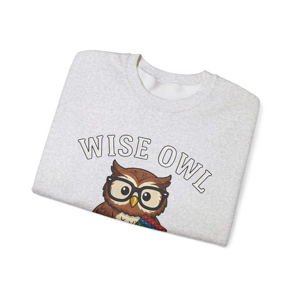 Owl Glasses Sweatshirt Teachers Education Gift Women Cartoon Sweatshirt Spectacles Sweatshirt Educator Enthusiast Comic Sweatshirt Learning Graphic Vintage