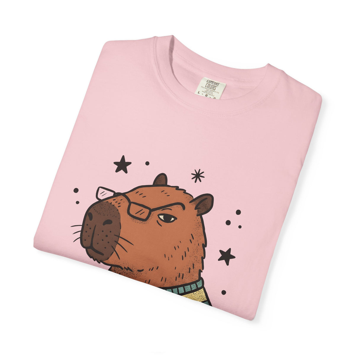 Capybara Specs T-Shirt Funny Fauna Gift Women Caricature T-Shirt Rodent T-Shirt Humor Fan Cartoon T-Shirt Wildlife Graphic Line Art Jumper T-Shirt