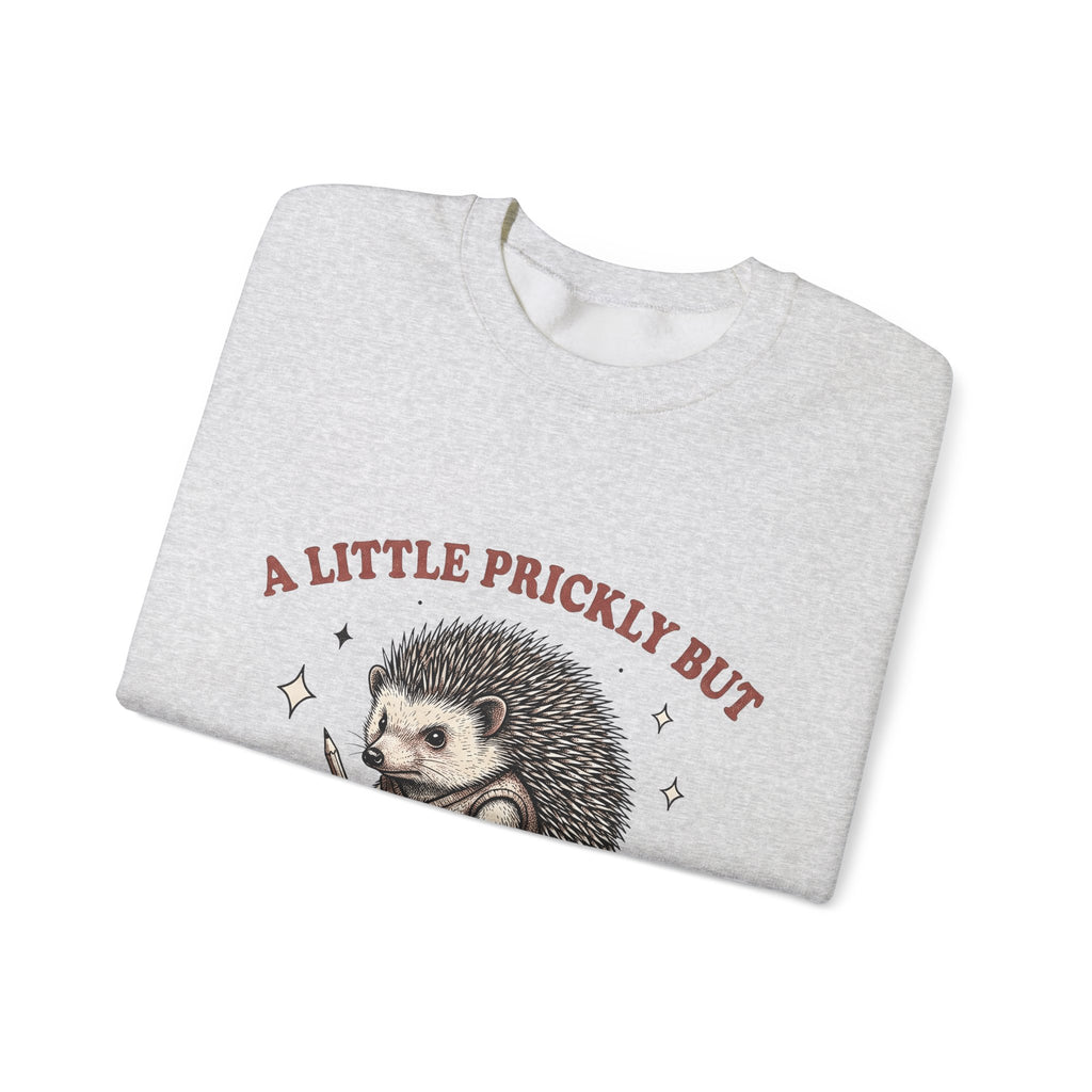 Hedgehog Design Sweatshirt Funny Pet Gift Women Cartoon Sweatshirt Porcupine Sweatshirt Comedy Fan Quirky Sweatshirt Animal Graphic Rustic Star Icons Sweatshirt