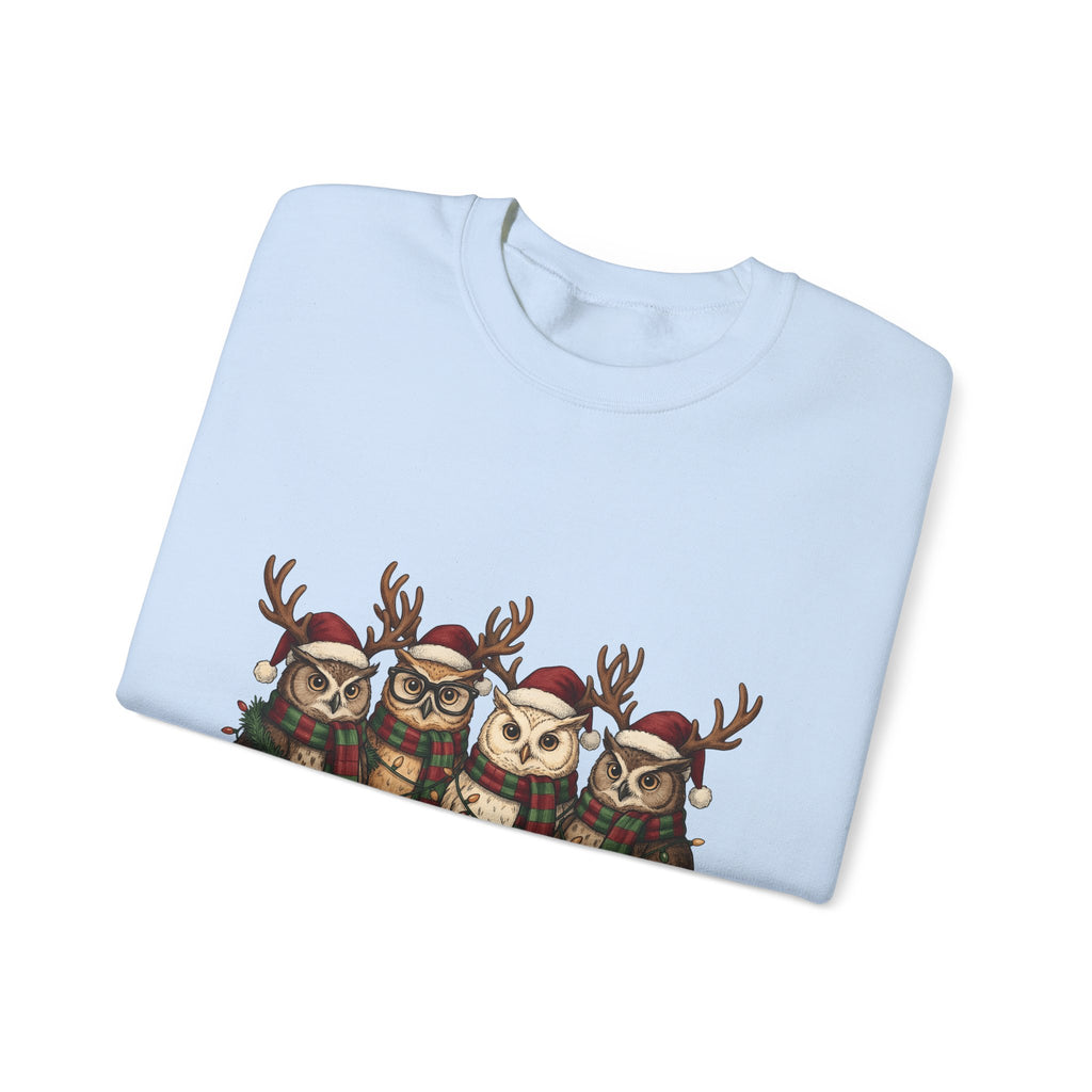 Owl Pack Sweatshirt Christmas Pets Gift Women Line Art Sweatshirt Owl Sweatshirt Xmas Fan Owl Hoot Graphic Illustration Led Lights Sweatshirt