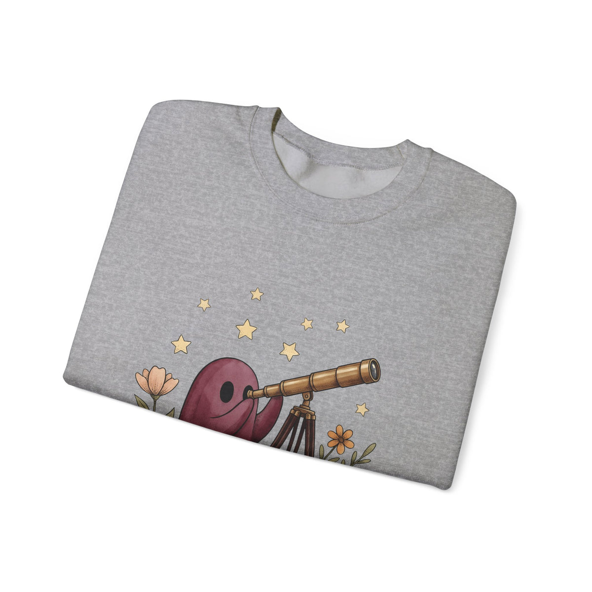 Ghost Telescope Sweatshirt Boho Chic Celestial Gift Women Whimsical Sweatshirt Spyglass Sweatshirt Bohemian Fan Fantasy Sweatshirt Galaxy Graphic Vintage