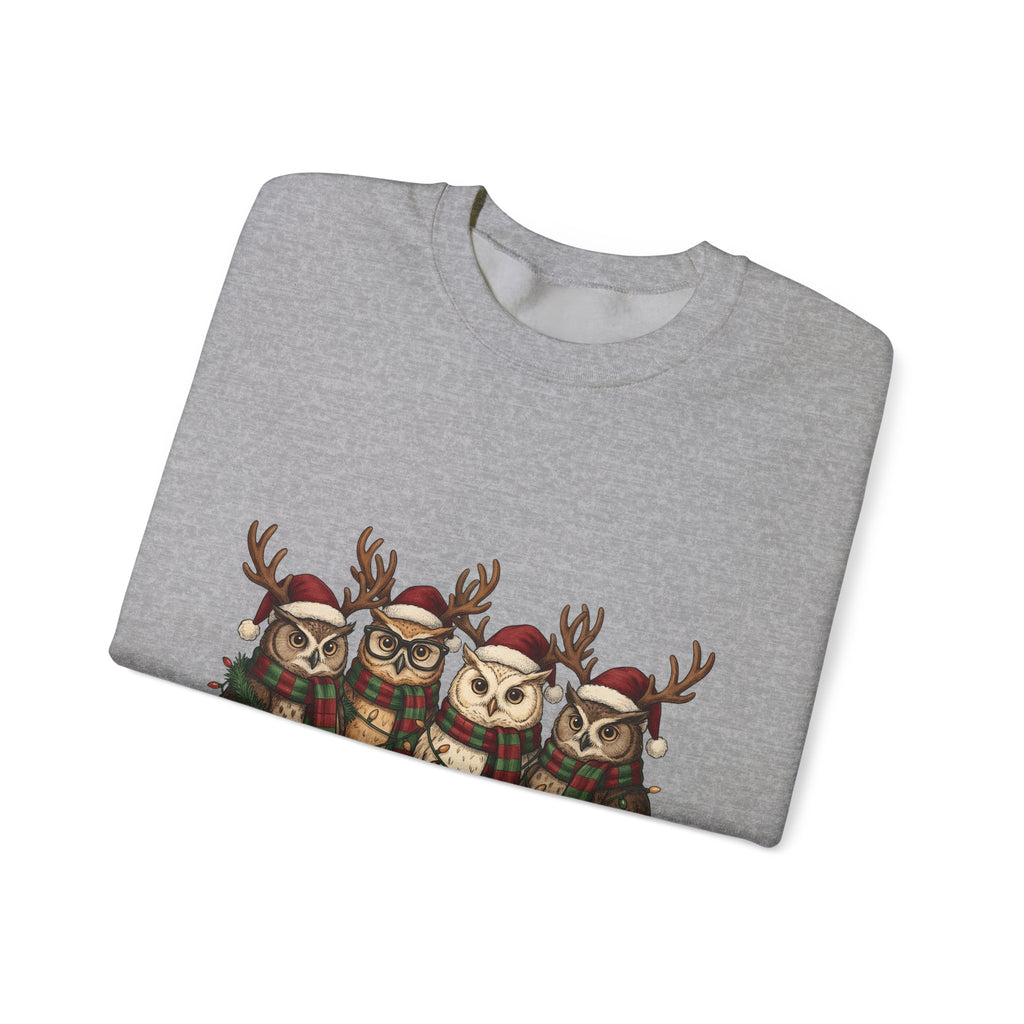 Owl Pack Sweatshirt Christmas Pets Gift Women Line Art Sweatshirt Owl Sweatshirt Xmas Fan Owl Hoot Graphic Illustration Led Lights Sweatshirt