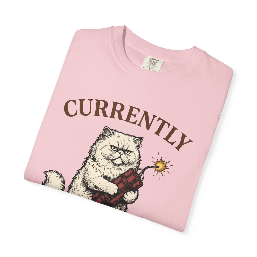Upset Cat T-Shirt Funny Wildlife Gift Women Old School T-Shirt Angry Cat T-Shirt Humor Fan Vintage T-Shirt Animal Graphic Doodle Explosion T-Shirt