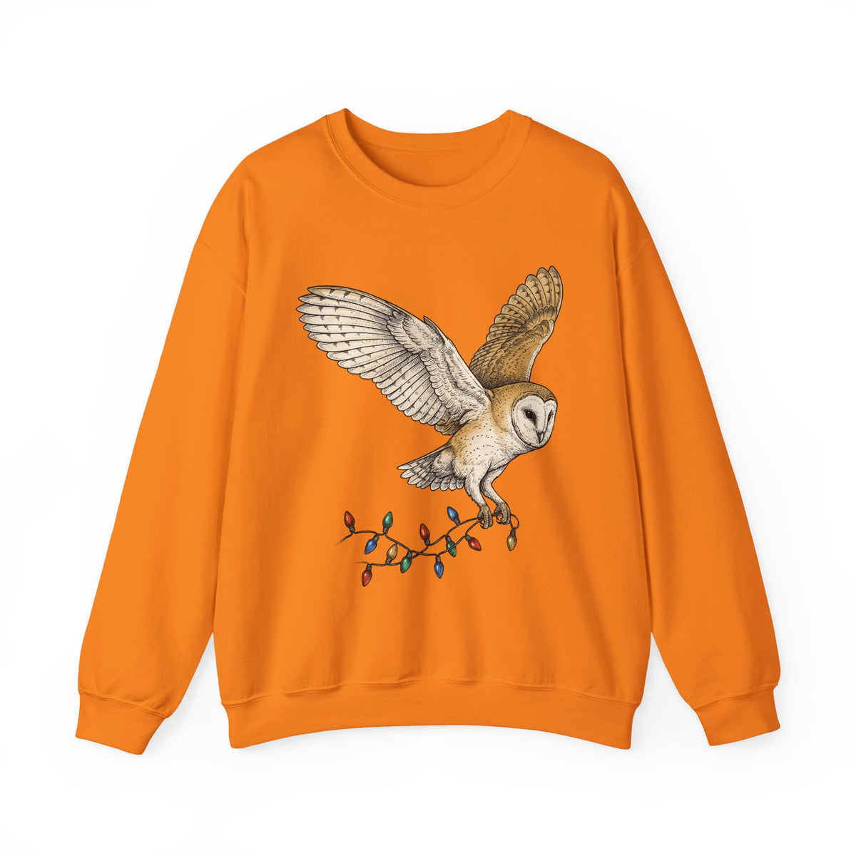 Barn Owl Sweatshirt Christmas Pets Gift Women Cartoon Sweatshirt Owl Sweatshirt Xmas Fan Owl Sweatshirt Animal Graphic Classic Globe Lights Sweatshirt