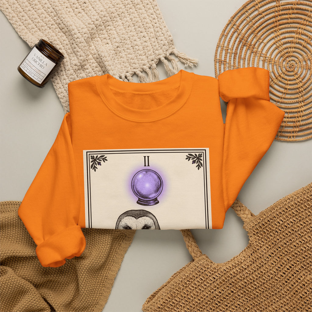 Barn Owl Sweatshirt Boho Chic Magic Gift Women Oracle Sweatshirt Owl Sweatshirt Bohemian Fan Mystic Sweatshirt Magical Graphic Hand Drawn Glass Sphere Sweatshirt