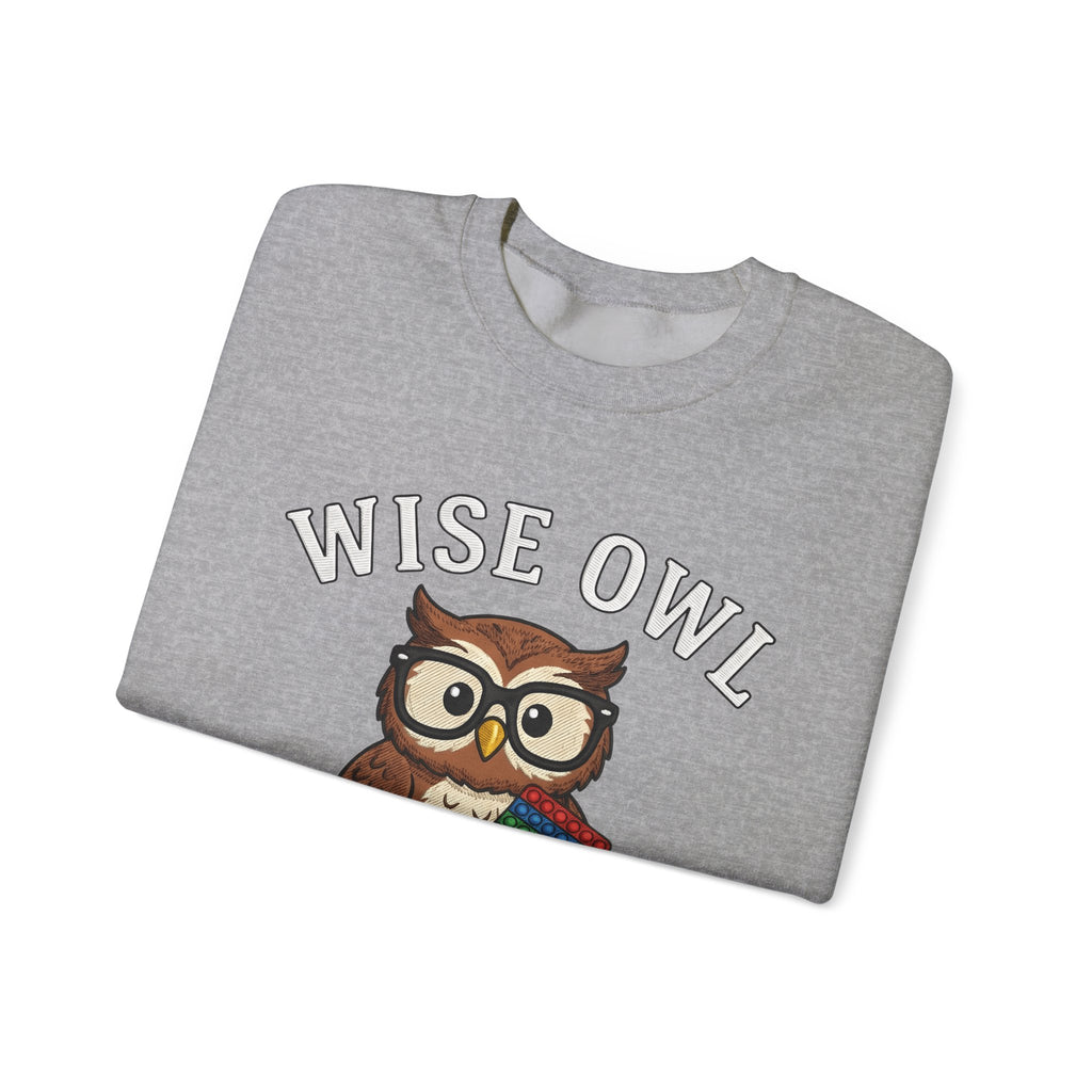 Owl Glasses Sweatshirt Teachers Education Gift Women Cartoon Sweatshirt Spectacles Sweatshirt Educator Enthusiast Comic Sweatshirt Learning Graphic Vintage