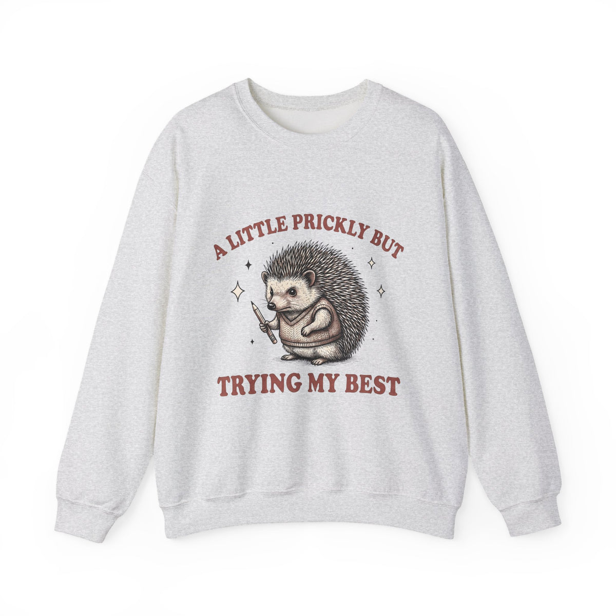 Hedgehog Design Sweatshirt Funny Pet Gift Women Cartoon Sweatshirt Porcupine Sweatshirt Comedy Fan Quirky Sweatshirt Animal Graphic Rustic Star Icons Sweatshirt