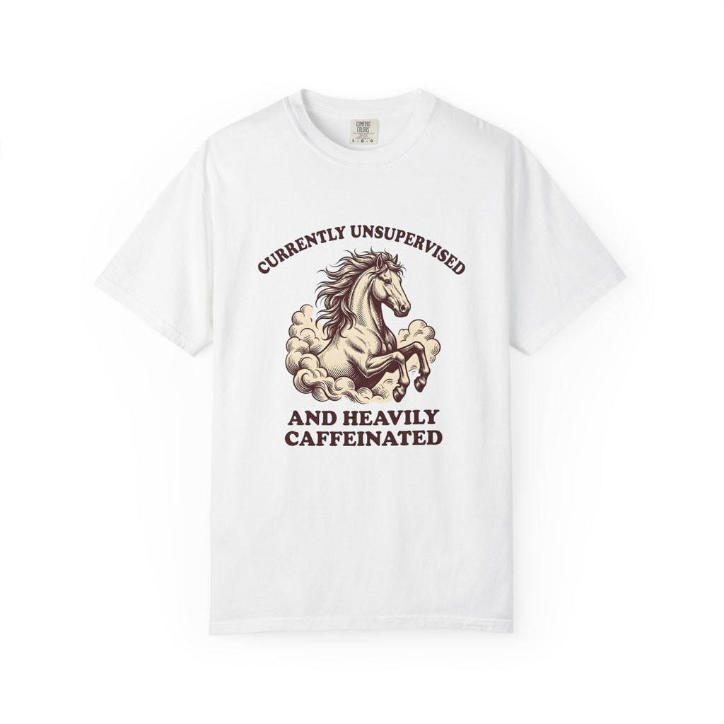Horse Illustration T-Shirt Cowgirl Wildlife Gift Women Retro T-Shirt Equine T-Shirt Cowboy Fan Rodeo T-Shirt Wildlife Graphic Country Sky T-Shirt