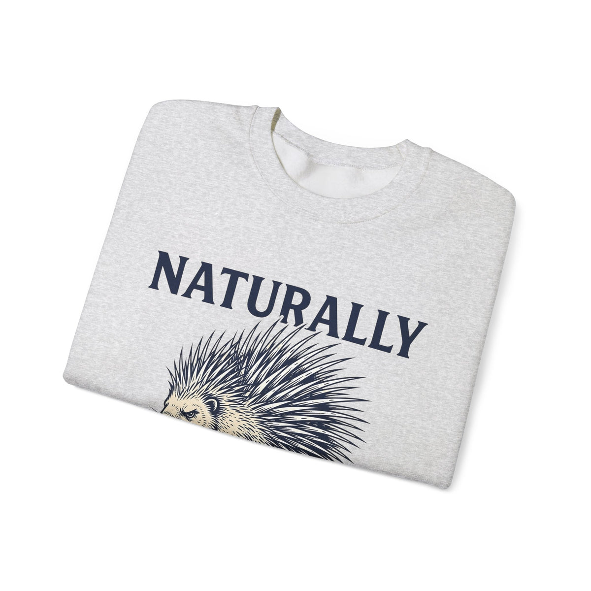Porcupine Sweatshirt Animal Pun Humor Gift Women Hand Drawn Sweatshirt Hedgehog Sweatshirt Pun Fan Hand Drawn Sweatshirt Funny Graphic Vintage Quills Sweatshirt
