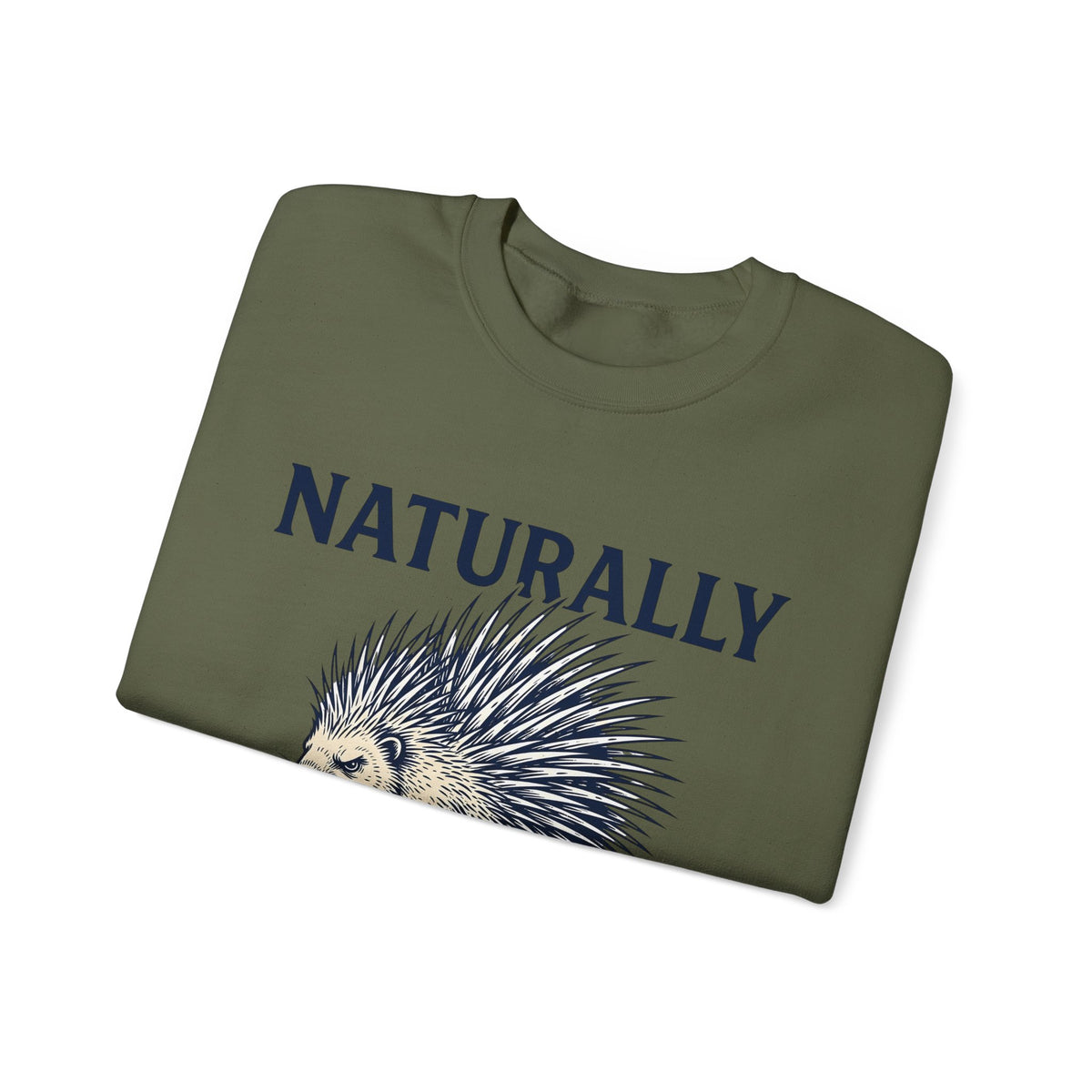 Porcupine Sweatshirt Animal Pun Humor Gift Women Hand Drawn Sweatshirt Hedgehog Sweatshirt Pun Fan Hand Drawn Sweatshirt Funny Graphic Vintage Quills Sweatshirt