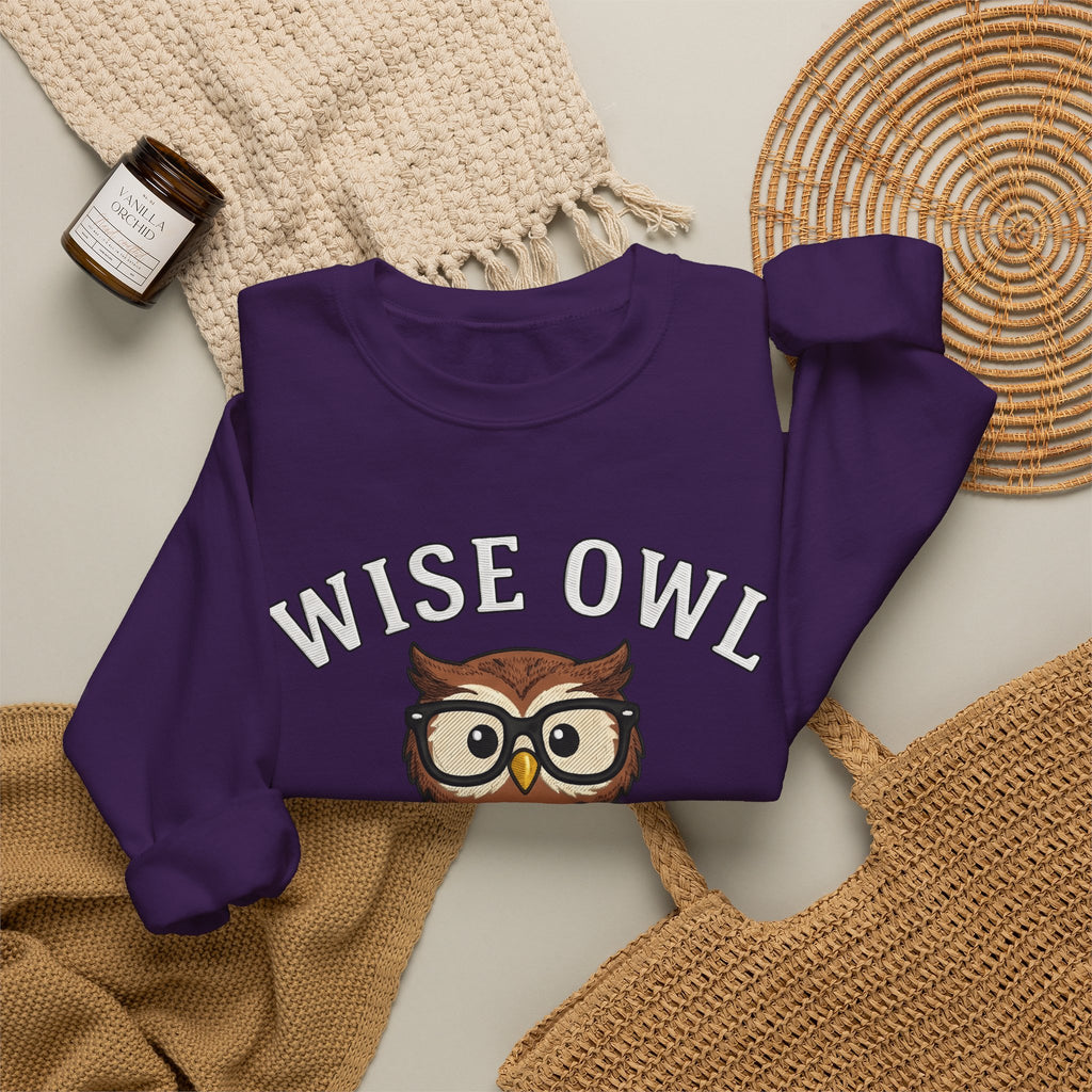 Owl Glasses Sweatshirt Teachers Education Gift Women Cartoon Sweatshirt Spectacles Sweatshirt Educator Enthusiast Comic Sweatshirt Learning Graphic Vintage