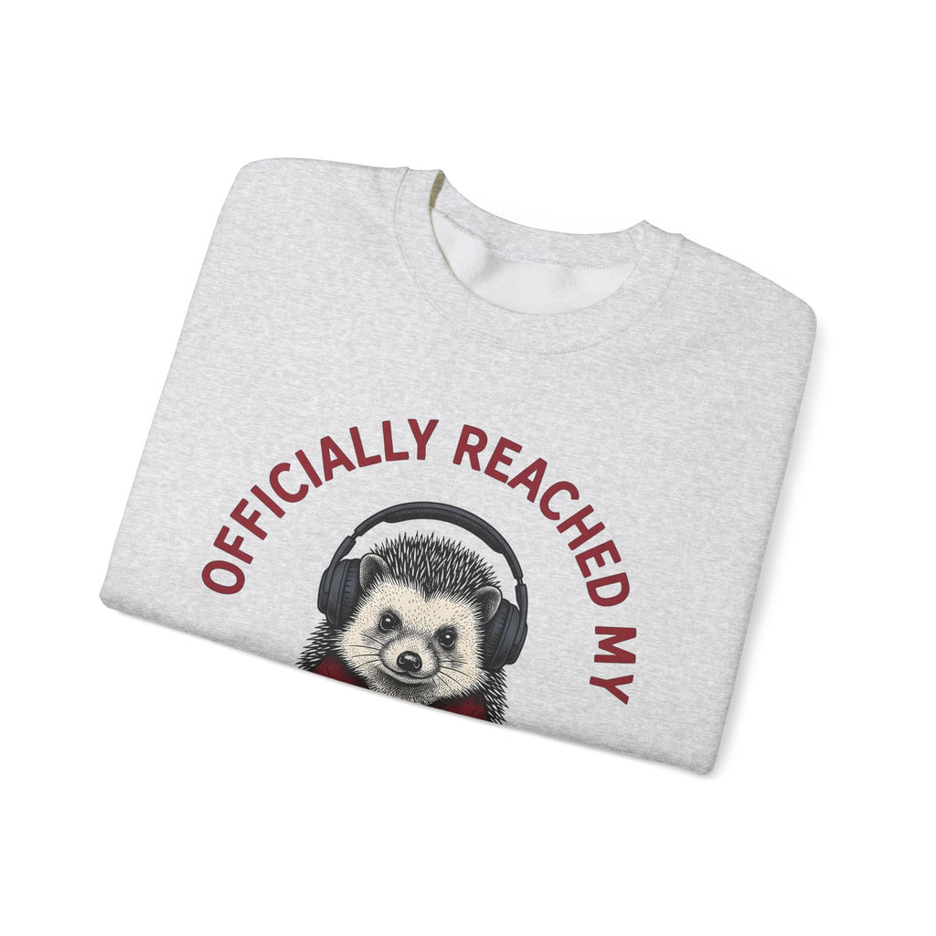 Hedgehog Headphones Sweatshirt Moms Animal Gift Women Quirky Sweatshirt Earphones Sweatshirt Mother Fan Earbud Graphic Retro Sweatshirt Vintage Sweatshirt Sweatshirt