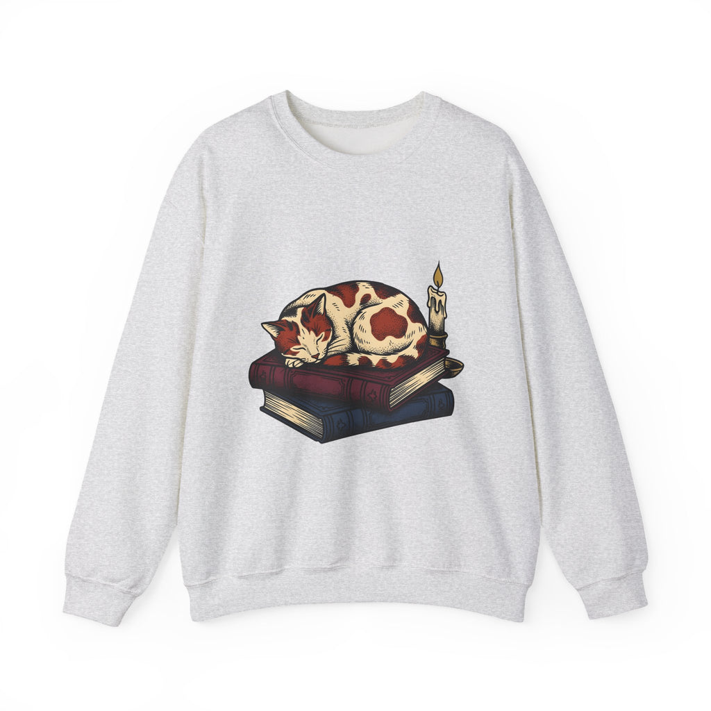 Dozing Cat Cat Pages Gift Old Fashioned Kitten Cat Fan Vintage Book Ink Stories Sweatshirt