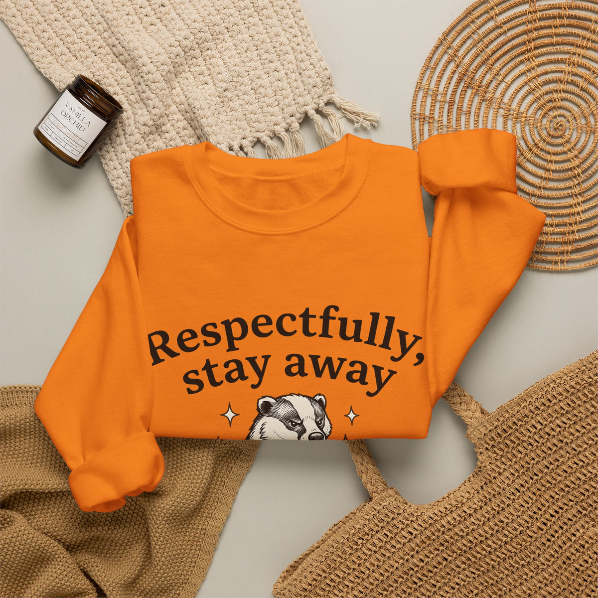 Badger Bow Accessory Sweatshirt Funny Fauna Gift Women Cartoon Sweatshirt Hair Bow Sweatshirt Humor Fan Comic Sweatshirt Wildlife Graphic Old School Glimmers