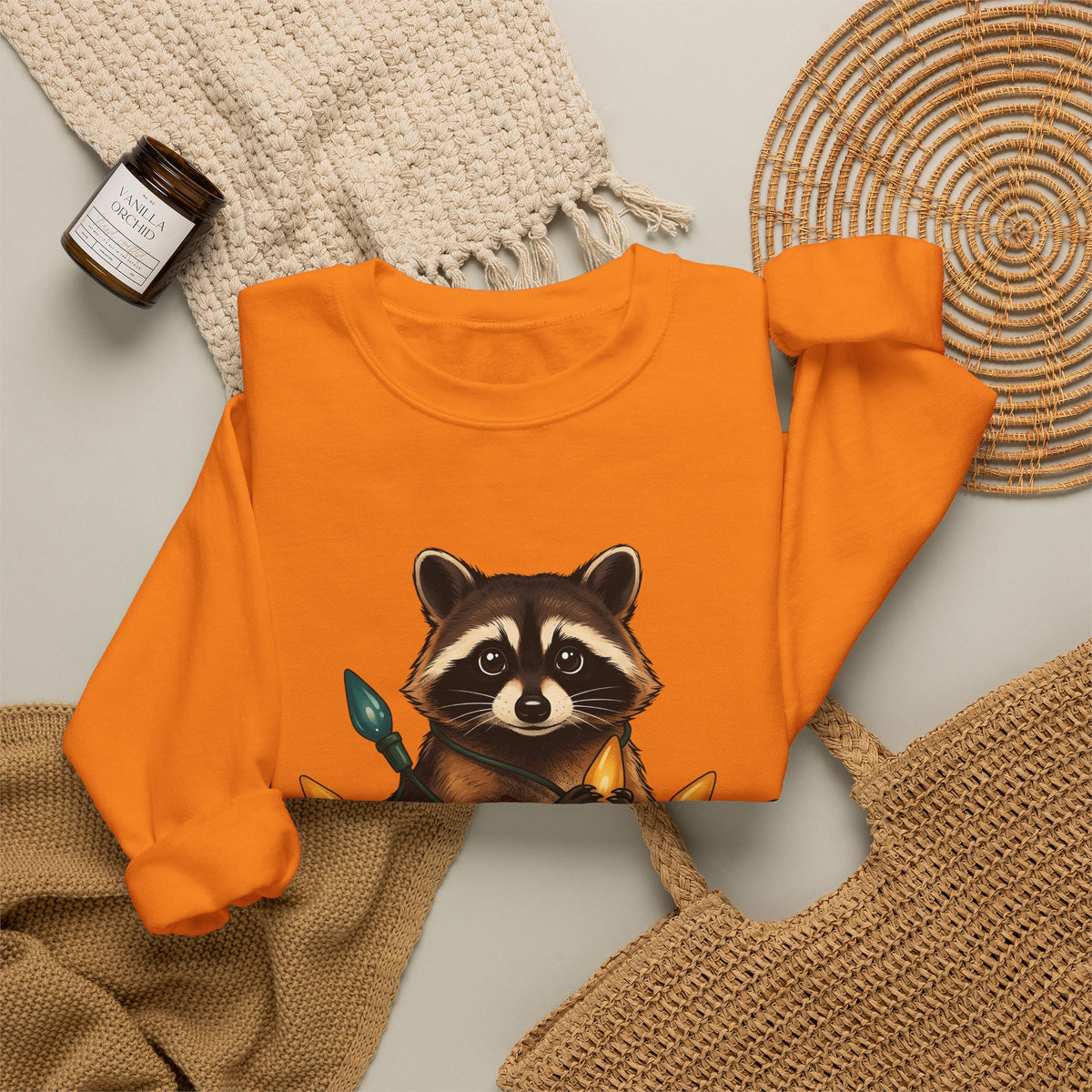 Raccoon Animals Seasonal Gift Playful Trash Panda Wildlife Fan Quirky Christmas Cartoon Sweatshirt