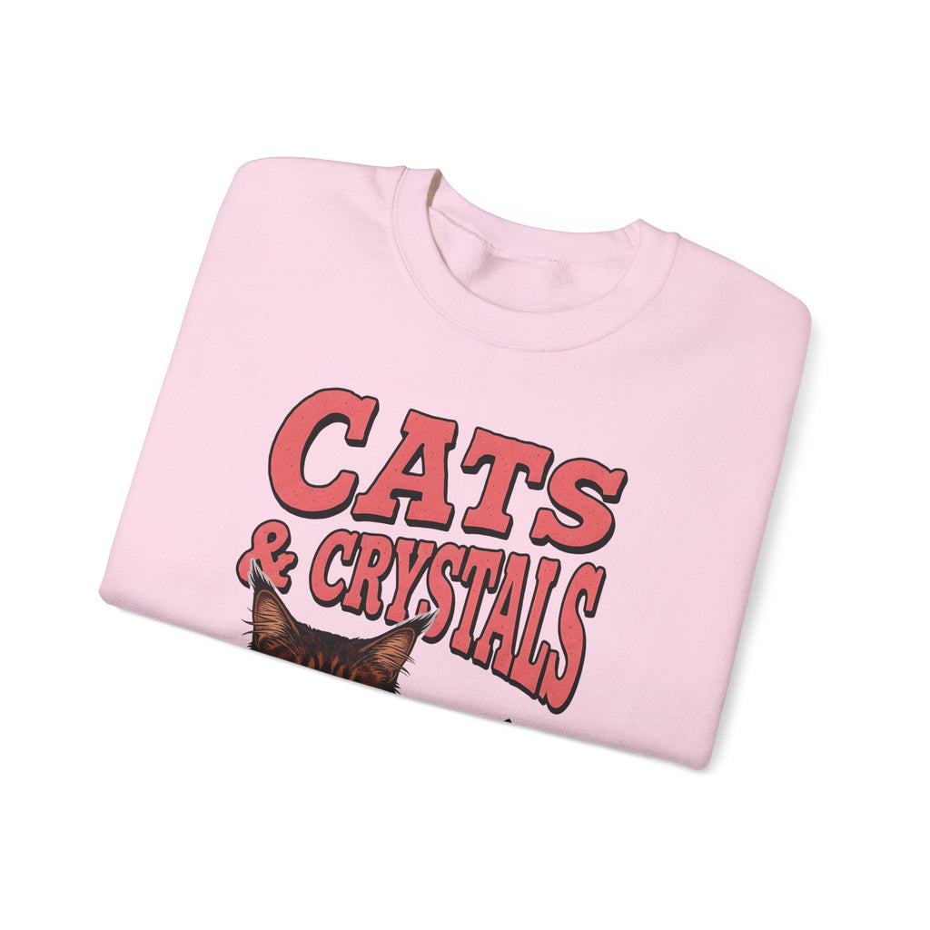 Maine Coon Kitten Sweatshirt Cat Metaphysical Gift Women Graphic Sweatshirt Kitten Sweatshirt Cat Fan Feline Sweatshirt Spiritual Design Mystical Graphic Retro