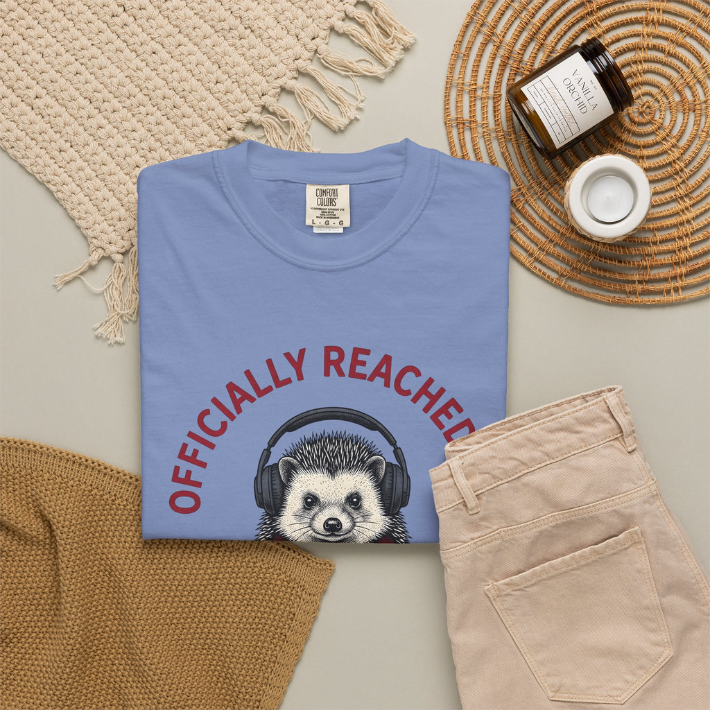 Hedgehog Headphones T-Shirt Moms Animal Gift Women Quirky T-Shirt Earphones T-Shirt Mother Fan Earbud Graphic Retro T-Shirt Vintage T-Shirt T-Shirt