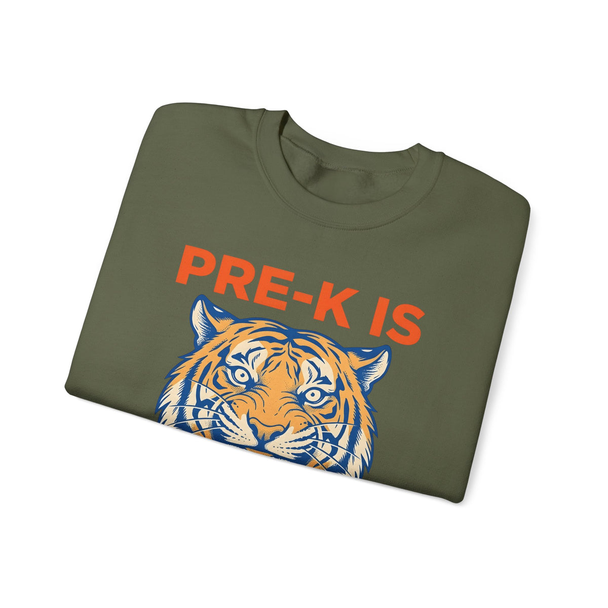 Tiger Head Teachers Classroom Gift Modern Tiger Educator Enthusiast Sweatshirt
