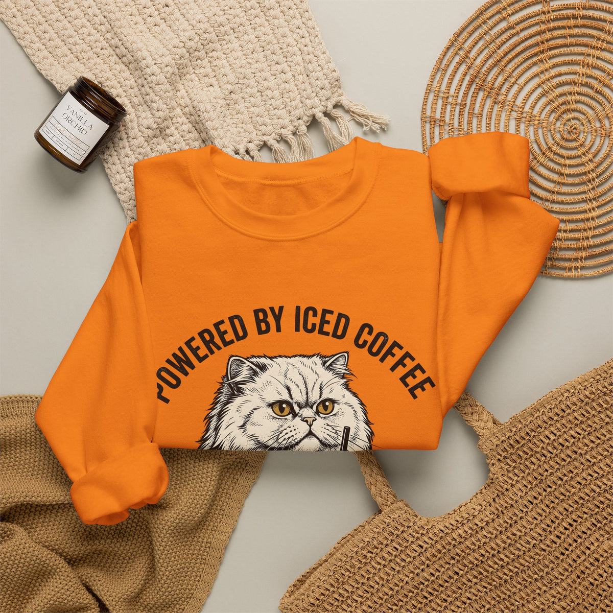 Persian Cat Coffee Sweatshirt Coffee Animals Gift Women Hand Drawn Sweatshirt Persian Cat Sweatshirt Coffee Fan Illustrated Sweatshirt Pet Graphic Vintage Iced
