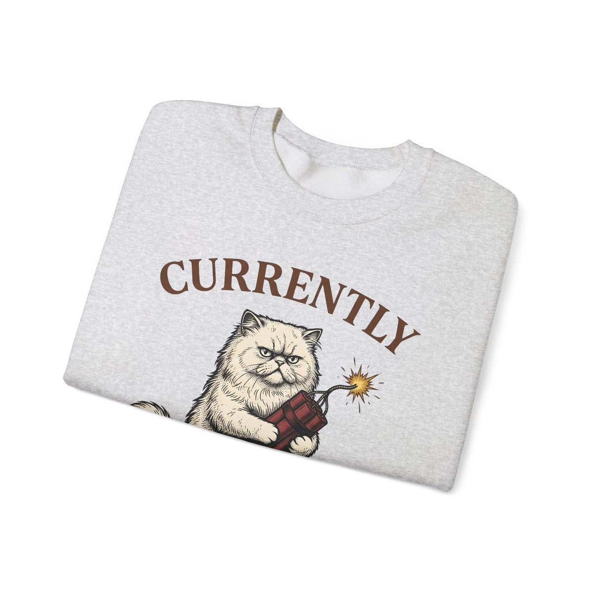 Upset Cat Sweatshirt Funny Wildlife Gift Women Old School Sweatshirt Angry Cat Sweatshirt Humor Fan Vintage Sweatshirt Animal Graphic Doodle Explosion Sweatshirt