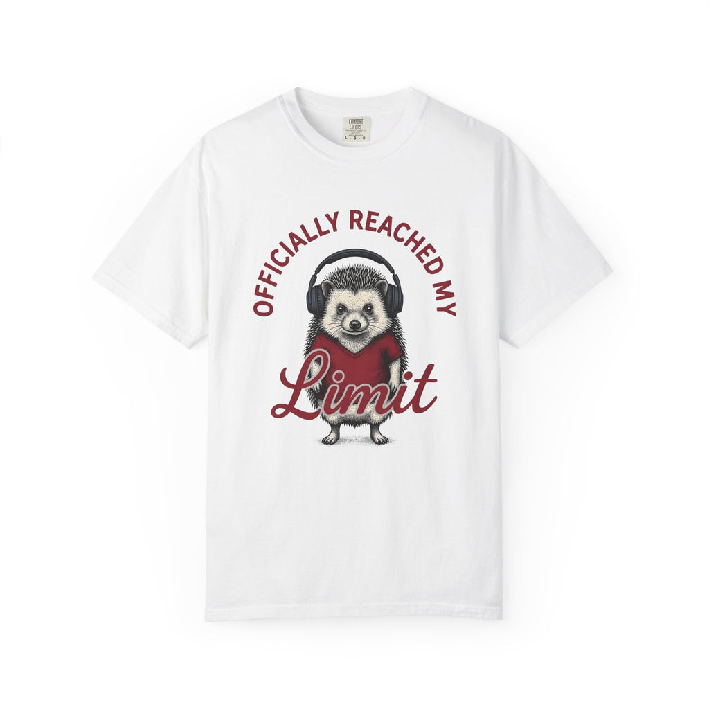 Hedgehog Headphones T-Shirt Moms Animal Gift Women Quirky T-Shirt Earphones T-Shirt Mother Fan Earbud Graphic Retro T-Shirt Vintage T-Shirt T-Shirt