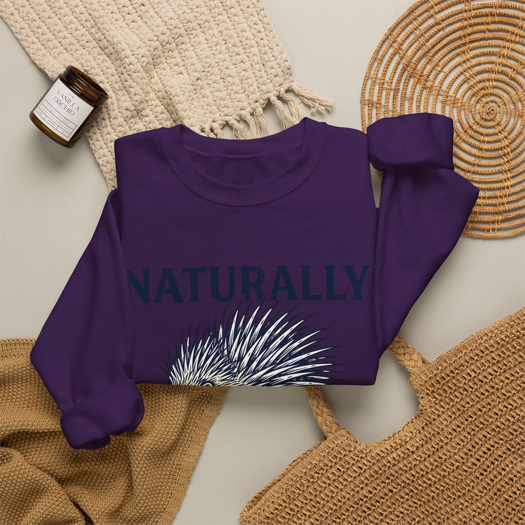 Porcupine Sweatshirt Animal Pun Humor Gift Women Hand Drawn Sweatshirt Hedgehog Sweatshirt Pun Fan Hand Drawn Sweatshirt Funny Graphic Vintage Quills Sweatshirt