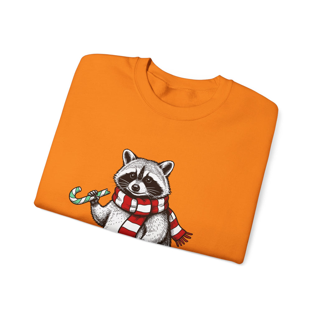 Raccoon Illustration Sweatshirt Animals Holiday Gift Women Sketch Sweatshirt Trash Panda Sweatshirt Wildlife Fan Drawing Graphic Christmas Retro Peppermint