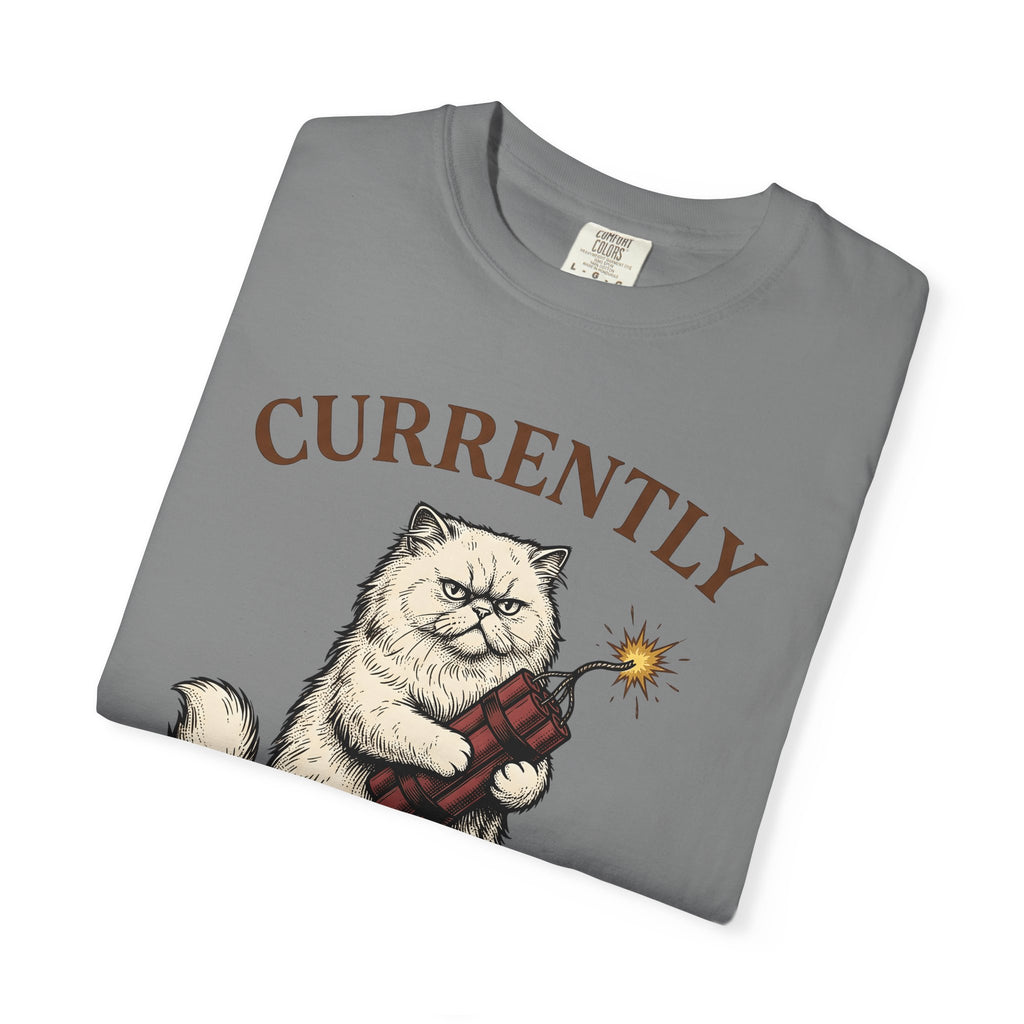 Upset Cat T-Shirt Funny Wildlife Gift Women Old School T-Shirt Angry Cat T-Shirt Humor Fan Vintage T-Shirt Animal Graphic Doodle Explosion T-Shirt