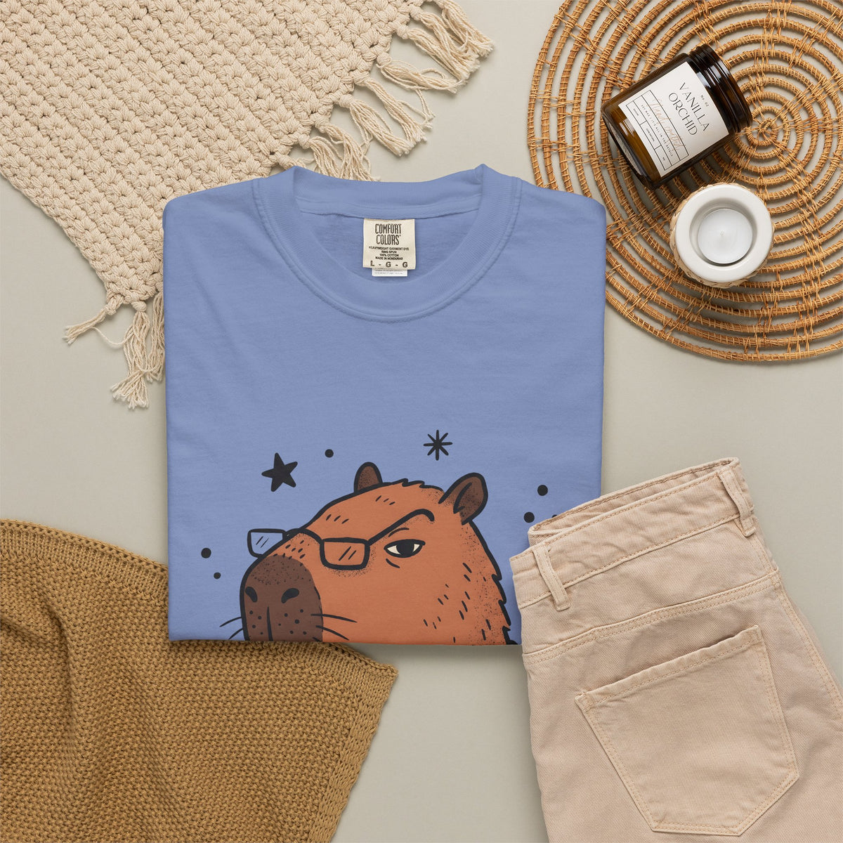 Capybara Specs T-Shirt Funny Fauna Gift Women Caricature T-Shirt Rodent T-Shirt Humor Fan Cartoon T-Shirt Wildlife Graphic Line Art Jumper T-Shirt