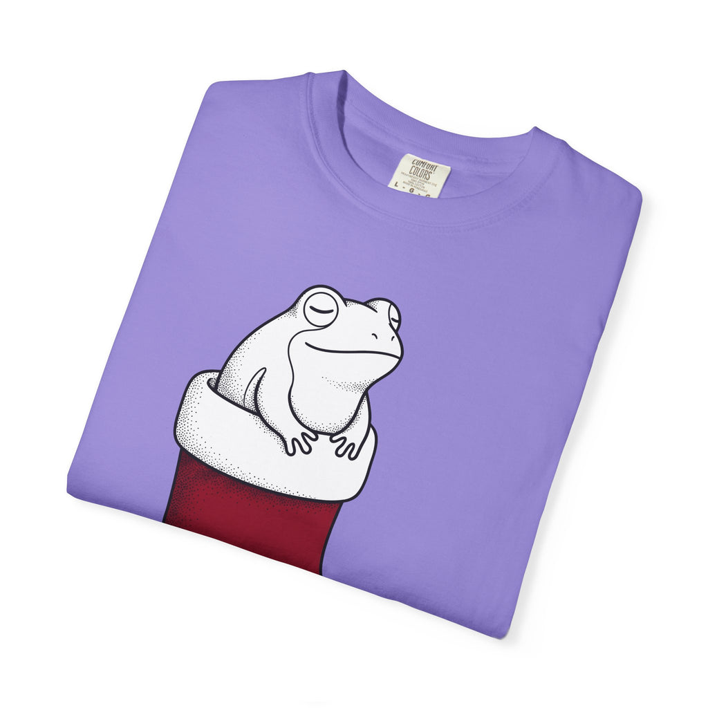 Frog Holiday Sock T-Shirt Christmas Pet Gift Women Modern T-Shirt Toad T-Shirt Xmas Fan Holiday T-Shirt Animal Graphic Doodle Xmas Stocking T-Shirt