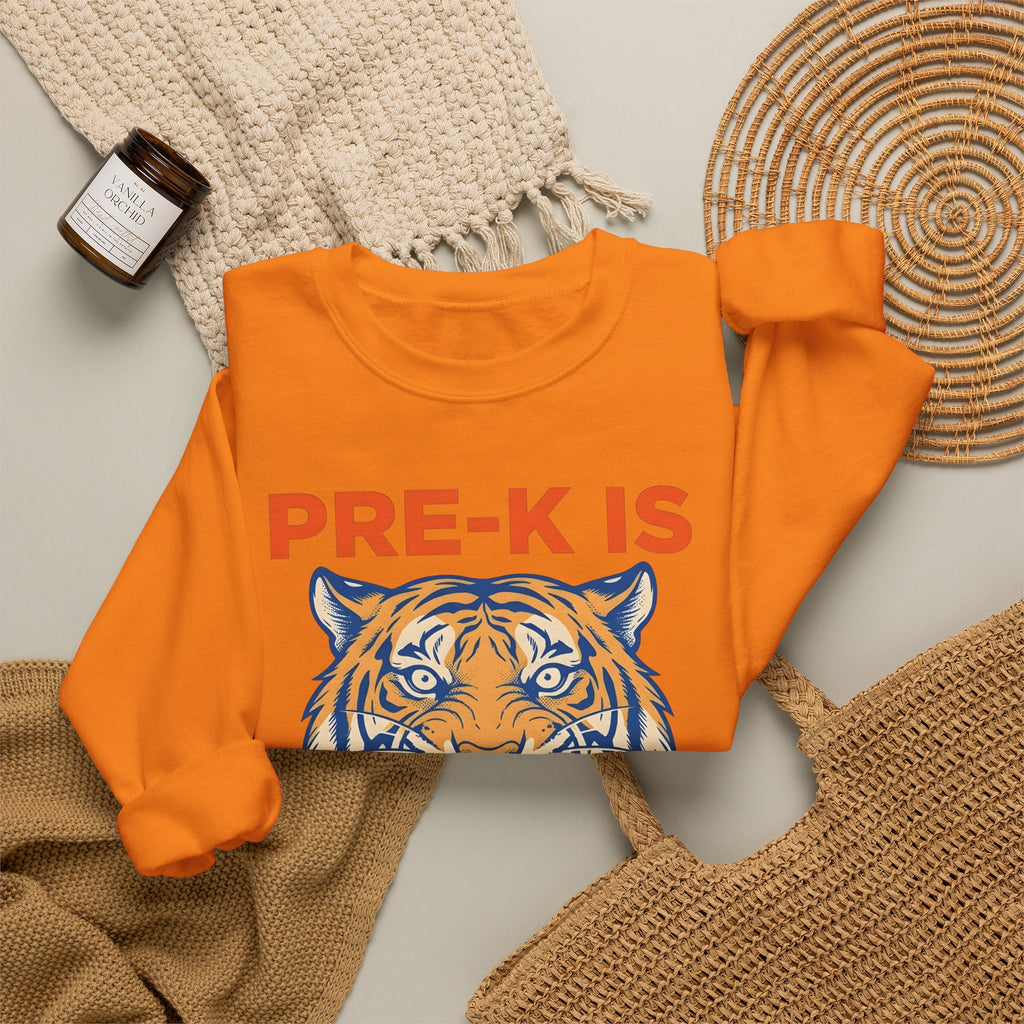 Tiger Head Teachers Classroom Gift Modern Tiger Educator Enthusiast Sweatshirt