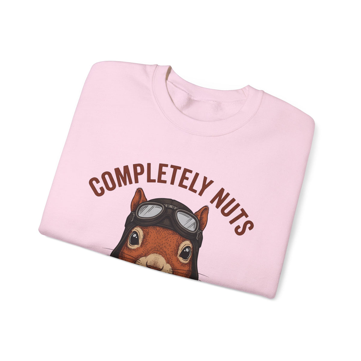 Squirrel Aviator Sweatshirt Funny Wildlife Gift Women Comic Sweatshirt Chipmunk Sweatshirt Humor Fan Cartoon Sweatshirt Animal Graphic Retro Pilot Goggles