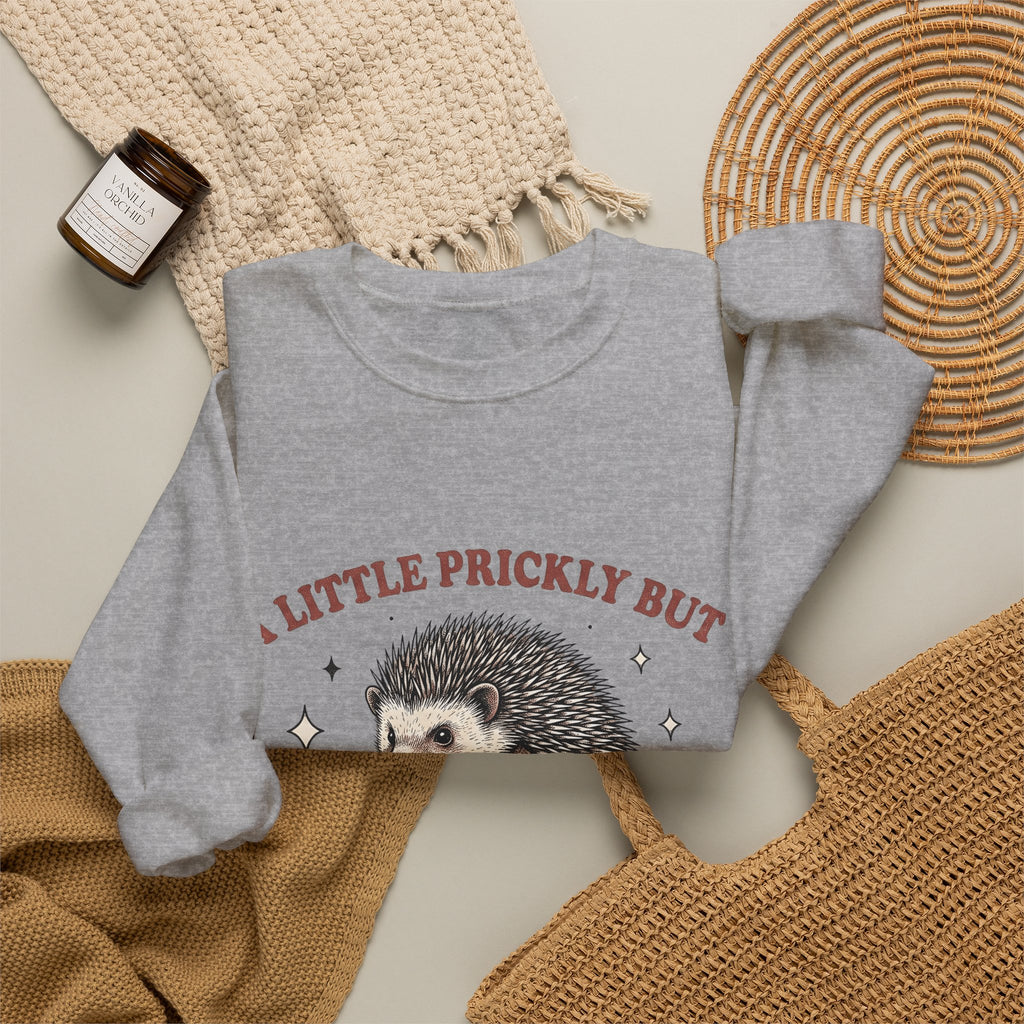Hedgehog Design Sweatshirt Funny Pet Gift Women Cartoon Sweatshirt Porcupine Sweatshirt Comedy Fan Quirky Sweatshirt Animal Graphic Rustic Star Icons Sweatshirt