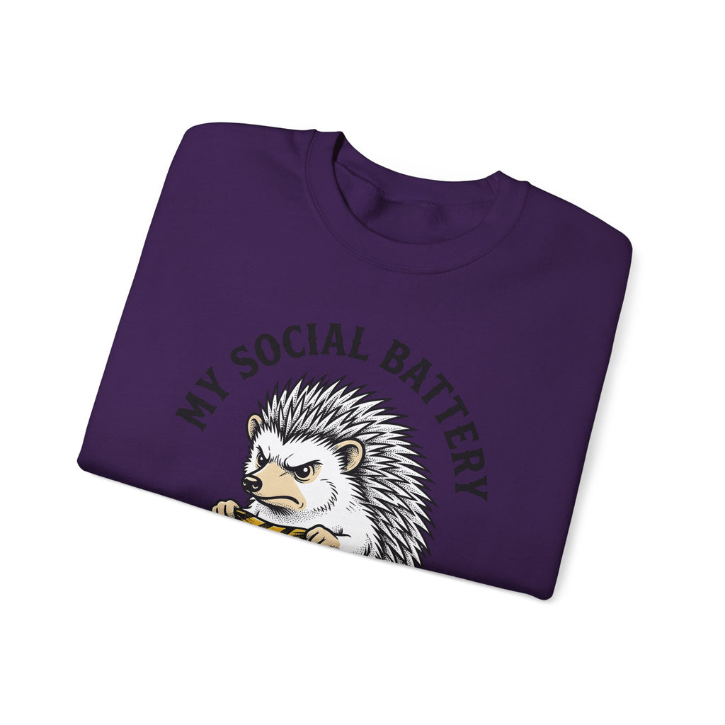 Mad Porcupine Sweatshirt Funny Wildlife Gift Women Comic Sweatshirt Porcupine Sweatshirt Humor Fan Cartoon Sweatshirt Animal Graphic Retro Patterned Necktie