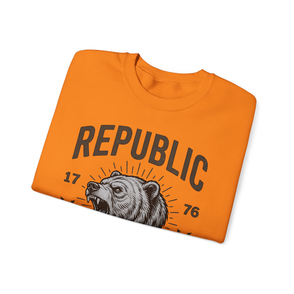 Bear Face Sweatshirt America Flag Gift Women Retro Sweatshirt Ursine Sweatshirt Patriot Fan Vintage Sweatshirt Banner Graphic Sketch Arrow Sweatshirt