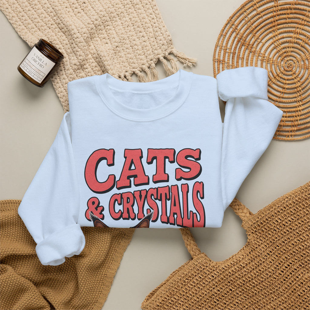 Maine Coon Kitten Sweatshirt Cat Metaphysical Gift Women Graphic Sweatshirt Kitten Sweatshirt Cat Fan Feline Sweatshirt Spiritual Design Mystical Graphic Retro