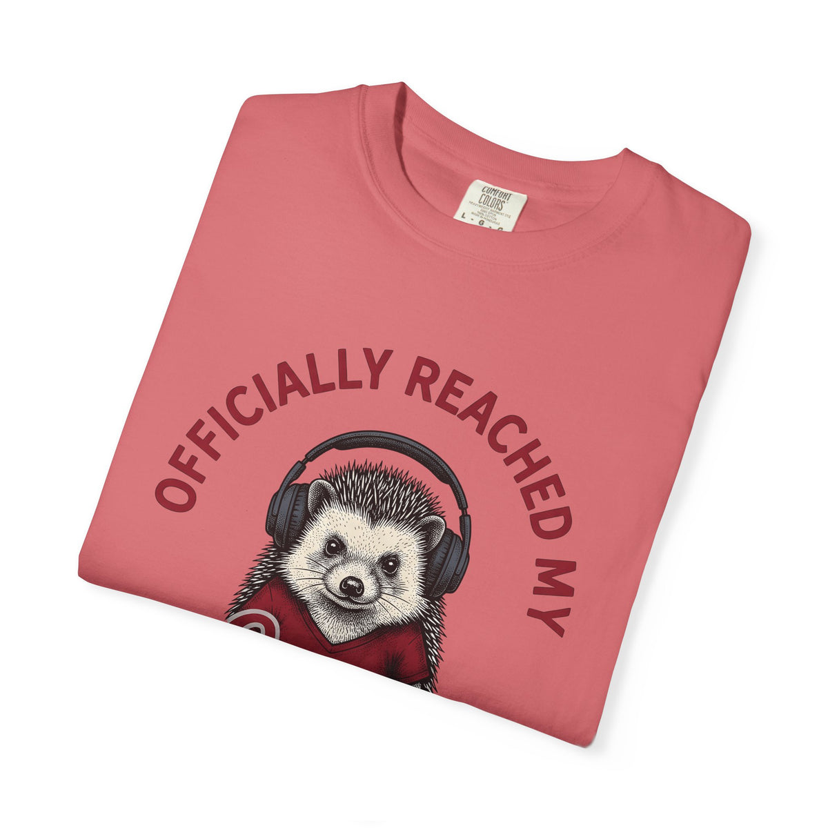 Hedgehog Headphones T-Shirt Moms Animal Gift Women Quirky T-Shirt Earphones T-Shirt Mother Fan Earbud Graphic Retro T-Shirt Vintage T-Shirt T-Shirt