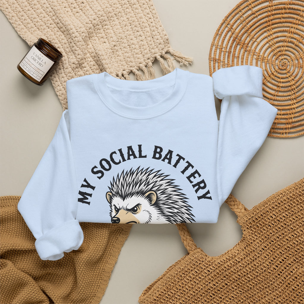 Mad Porcupine Sweatshirt Funny Wildlife Gift Women Comic Sweatshirt Porcupine Sweatshirt Humor Fan Cartoon Sweatshirt Animal Graphic Retro Patterned Necktie