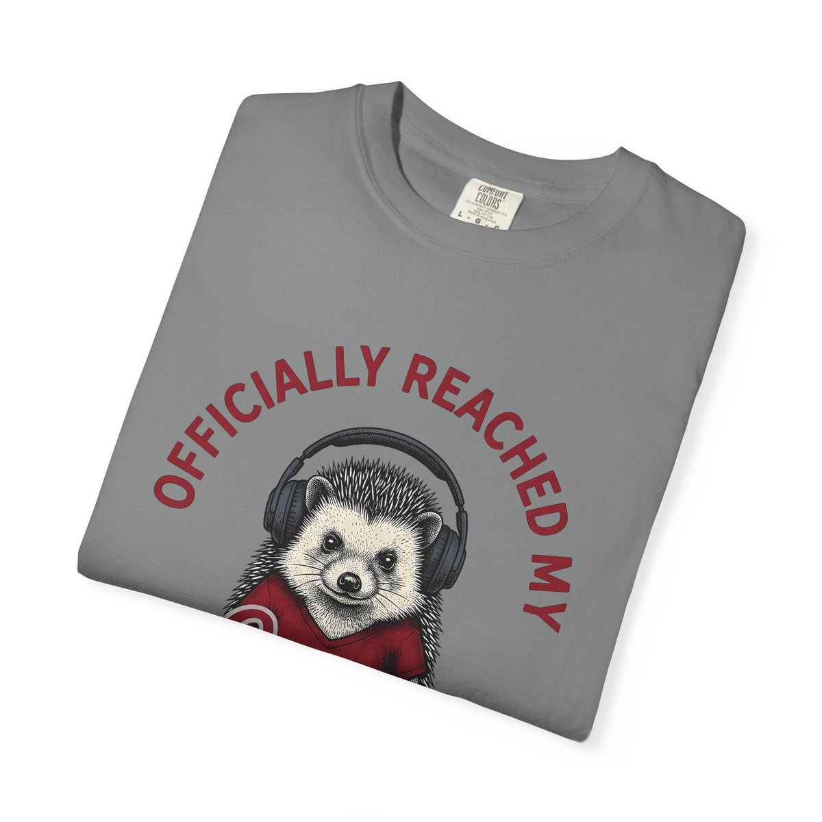Hedgehog Headphones T-Shirt Moms Animal Gift Women Quirky T-Shirt Earphones T-Shirt Mother Fan Earbud Graphic Retro T-Shirt Vintage T-Shirt T-Shirt
