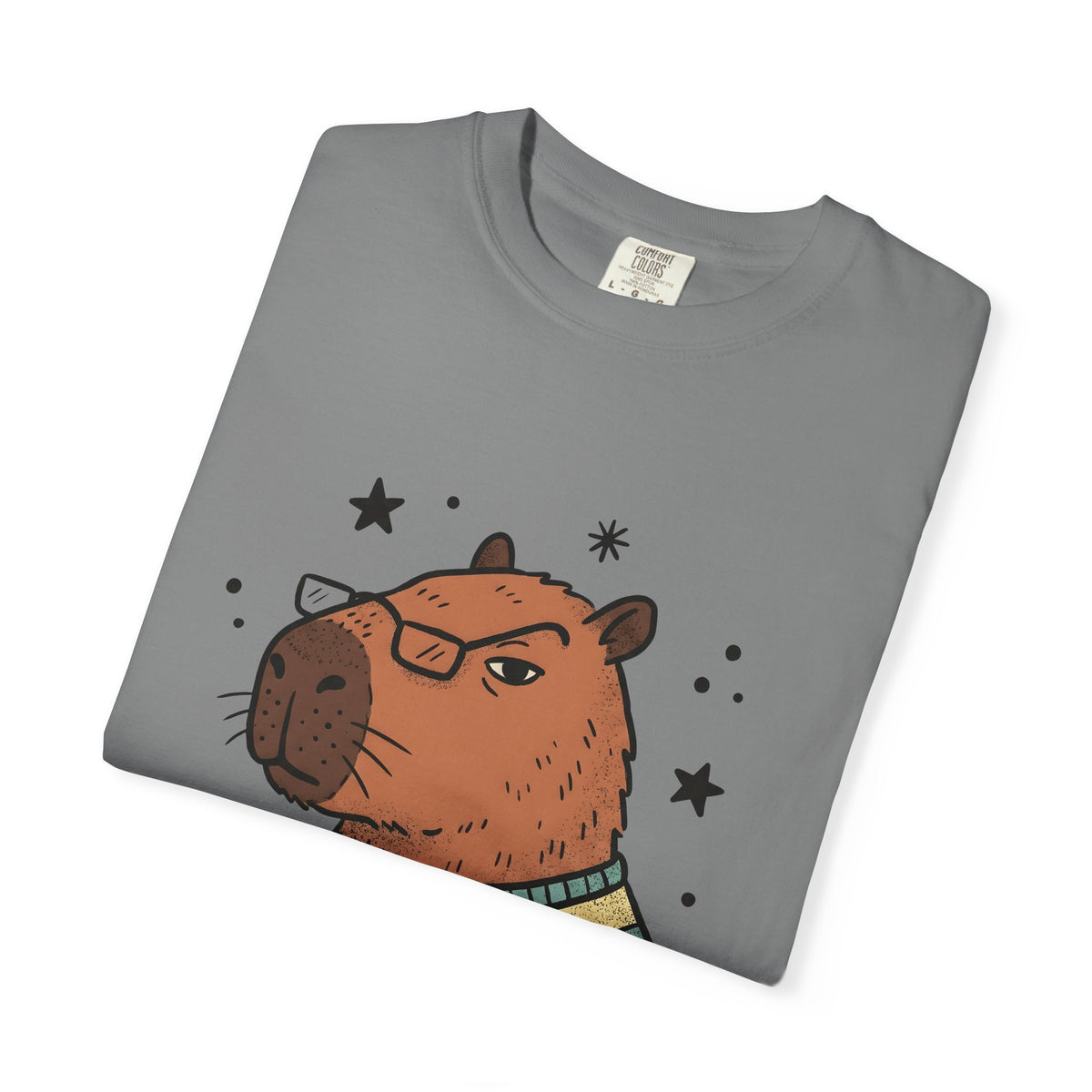 Capybara Specs T-Shirt Funny Fauna Gift Women Caricature T-Shirt Rodent T-Shirt Humor Fan Cartoon T-Shirt Wildlife Graphic Line Art Jumper T-Shirt