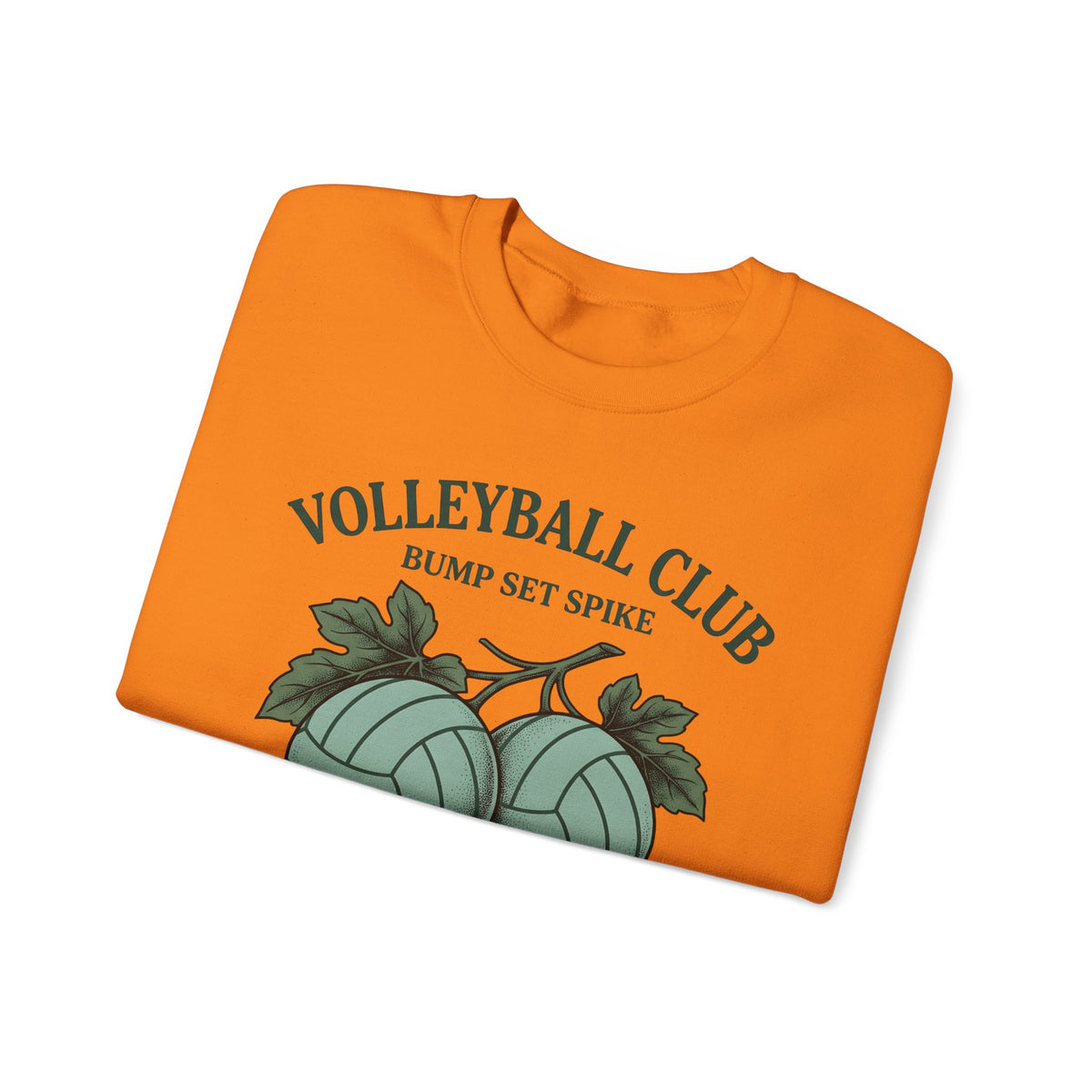 Volleyballs Sweatshirt Volleyball Crew Gift Women Sketch Sweatshirt Beachball Sweatshirt Volleyball Fan Volleyball Drawing Graphic Sweatshirt Line Art Whistles
