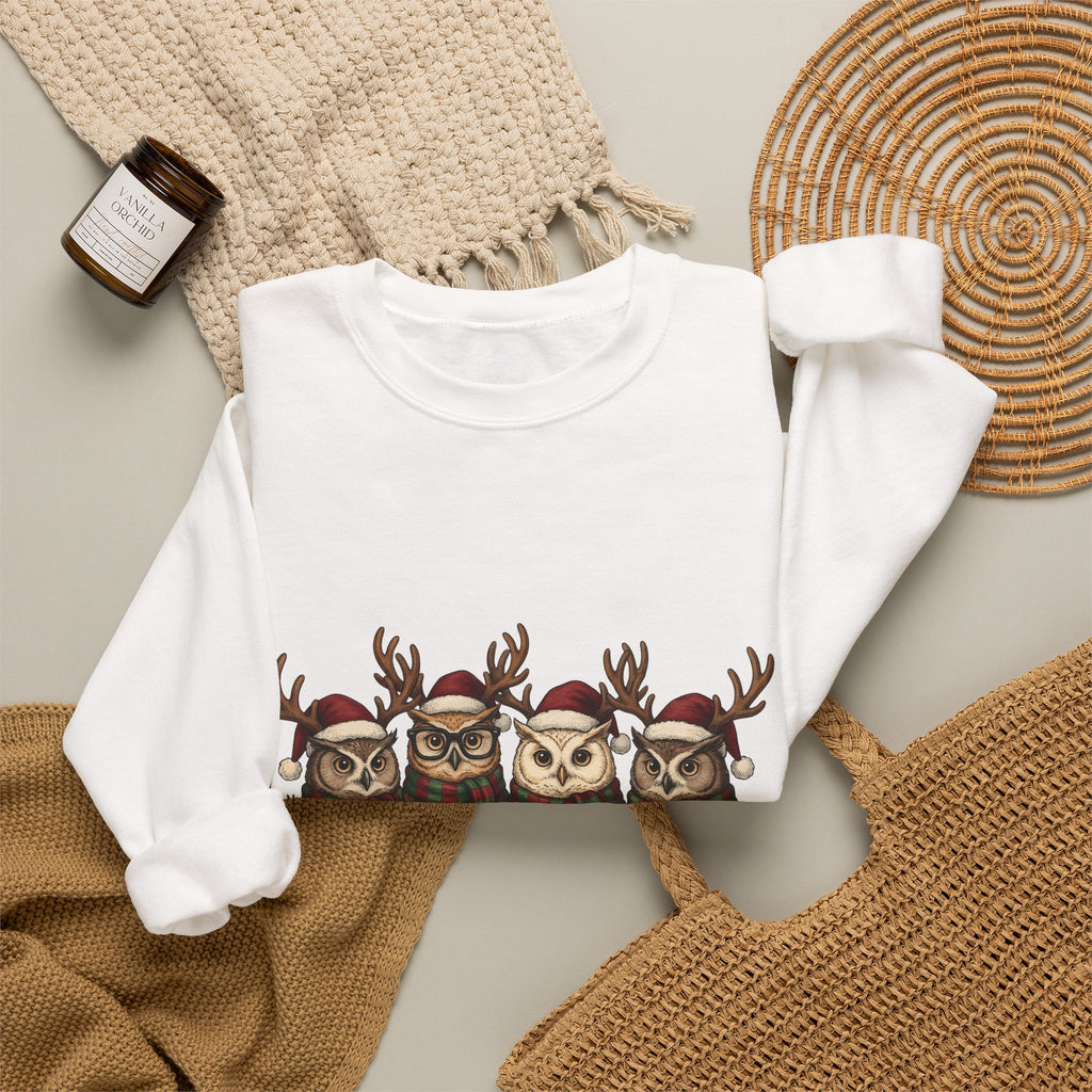 Owl Pack Sweatshirt Christmas Pets Gift Women Line Art Sweatshirt Owl Sweatshirt Xmas Fan Owl Hoot Graphic Illustration Led Lights Sweatshirt