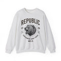 Bear Face Sweatshirt America Flag Gift Women Retro Sweatshirt Ursine Sweatshirt Patriot Fan Vintage Sweatshirt Banner Graphic Sketch Arrow Sweatshirt