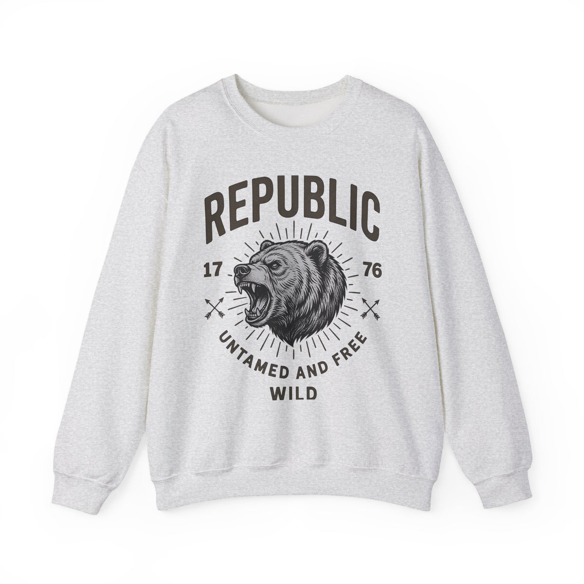 Bear Face Sweatshirt America Flag Gift Women Retro Sweatshirt Ursine Sweatshirt Patriot Fan Vintage Sweatshirt Banner Graphic Sketch Arrow Sweatshirt