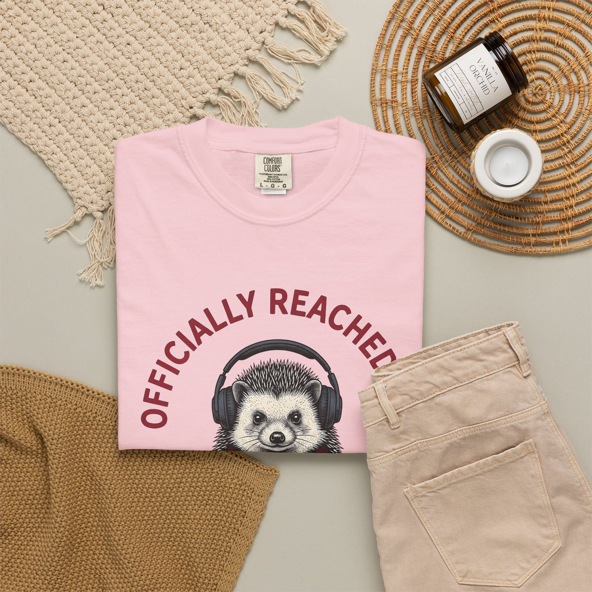 Hedgehog Headphones T-Shirt Moms Animal Gift Women Quirky T-Shirt Earphones T-Shirt Mother Fan Earbud Graphic Retro T-Shirt Vintage T-Shirt T-Shirt